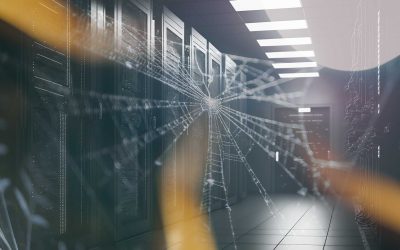 Web crawler: Tajni agent interneta koji nevidljivo prikuplja informacije